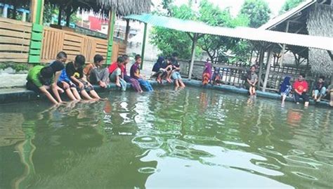 Info perkara tindak pidana umum. Tempat Wisata Di Ciawi Tasikmalaya