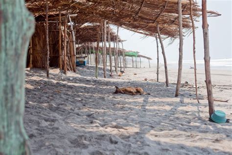8 Beautiful Beaches In El Salvador In 2020 Beautiful Beaches San
