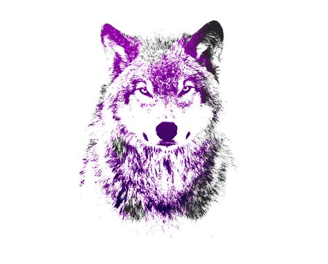Purple Wolf Wallpapers