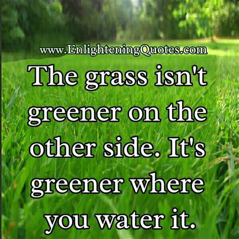 The Grass Isnt Greener On The Other Side Enlightening Quotes