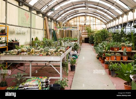 Garden Centre Plants Nursery