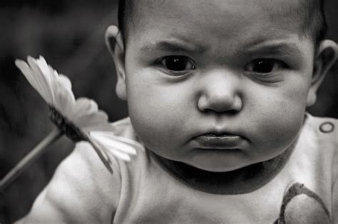 Angry Babies Wallpapers Download Free Wallpapers For