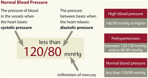 What Is Blood Pressure Quora