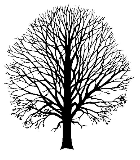 Arbre de famille, arbre généalogique sur mesure. Coloriages à imprimer : Arbres, numéro : 672841