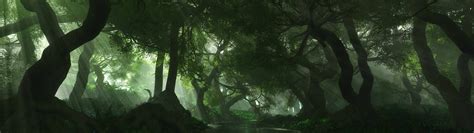 Dual Monitor Forest Wallpapers Top Free Dual Monitor Forest