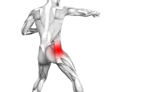 Piriformis Syndrome Signs Symptoms Treatment In Chicago Il