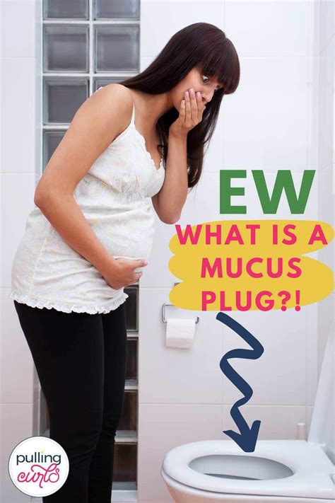 What Does A Mucus Plug Look Like In Pregnancy
