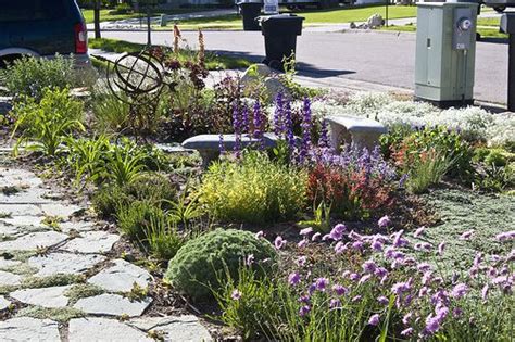 17 Best Images About Xeriscape Ideas On Pinterest Gardens Front