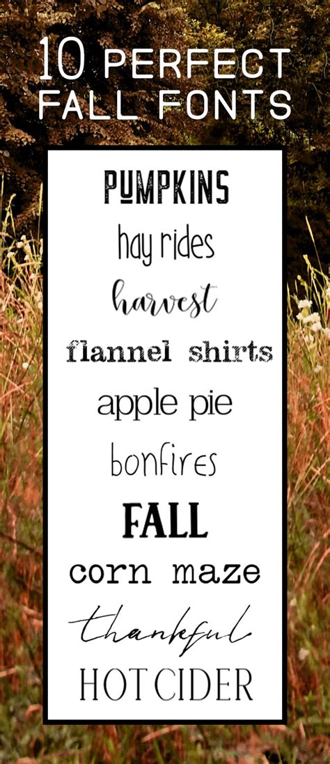 10 Of The Best Fonts For Fall The Font Bundles Blog