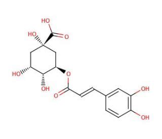 Reduces the absorption of sugar from the gastrointestinal tract and improves insulin sensitivity. Chlorogenic Acid | CAS 327-97-9 | SCBT - Santa Cruz ...