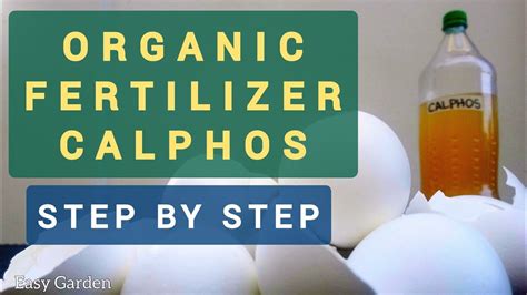 Calphos Organic Fertilizer Step By Step Youtube