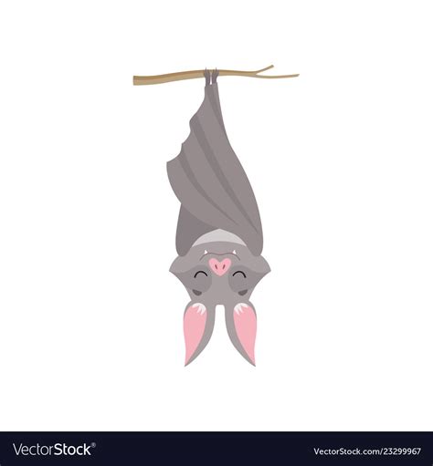 Bat Hanging Upside Down Drawing