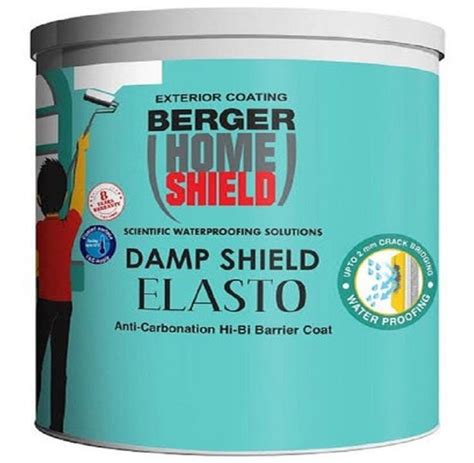 Berger Home Shield Damp Shield Elasto Emulsion Paint 10 L At Rs 4000