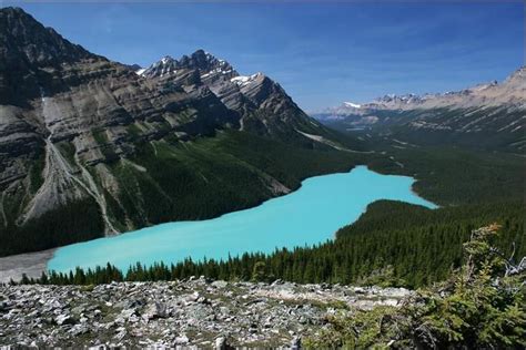 Bow Summit Lookout Peyto Lake Alberta Escape The Crowds At The