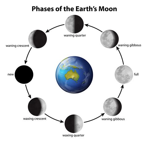 Phases Of The Moon 446859 Vector Art At Vecteezy