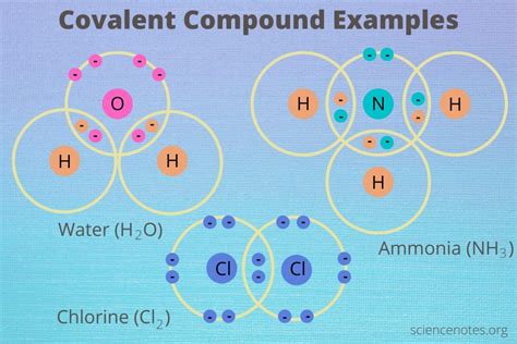 Covalent Bond Examples Everyday Life