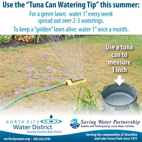 Check spelling or type a new query. Watering Lawns During Drought Conditions | North City Water District