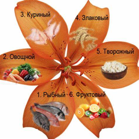 Цветок для диеты 6 лепестков Диета 6 Лепестков: Меню, Особенности, Результаты + ОТЗЫВЫ Диета 6 Лепестков: Меню, Особенности, Результаты + ОТЗЫВЫ Цветок для диеты 6 лепестков