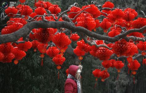 Оттенки красного | Red lantern, Chinese new year dragon, Red