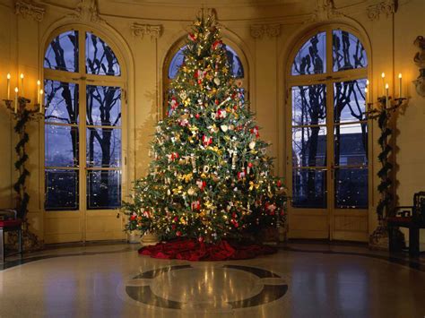 24 Stunning Christmas Tree Images Tripwire Magazine