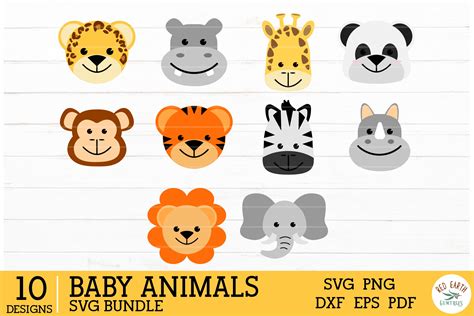 Cute Baby Animals Safari Theme In Svgdxfpngepspdf Format 277149