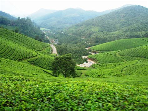 Munnar to thekkady distance, location, road map and direction. Part1 : 10 day itinerary for Munnar, Thekkady and hill ...