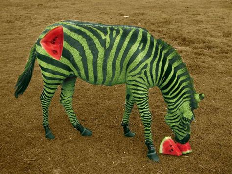 Photoshop Artists Combine Animals And Plants Into One Interesting