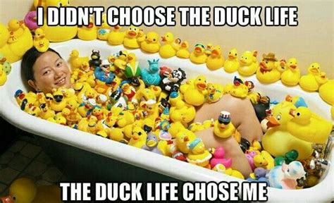 pin by yeoystees on funny memes rubber duck rubber ducky guinness world records