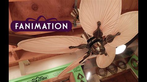 Fanimation extraordinaire of110 ceiling fans: Fanimation Islander Ceiling Fan | Caruso Blades - YouTube