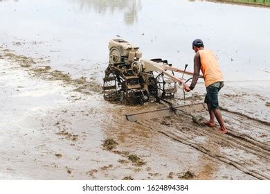 Indonesia Farmer Plowing Rice Field Using Stock Photo