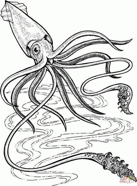 Https://techalive.net/coloring Page/giant Squid Coloring Pages