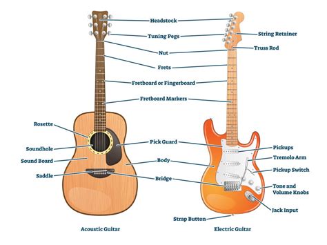 The Anatomy Of A Guitar Everything You Need To Know