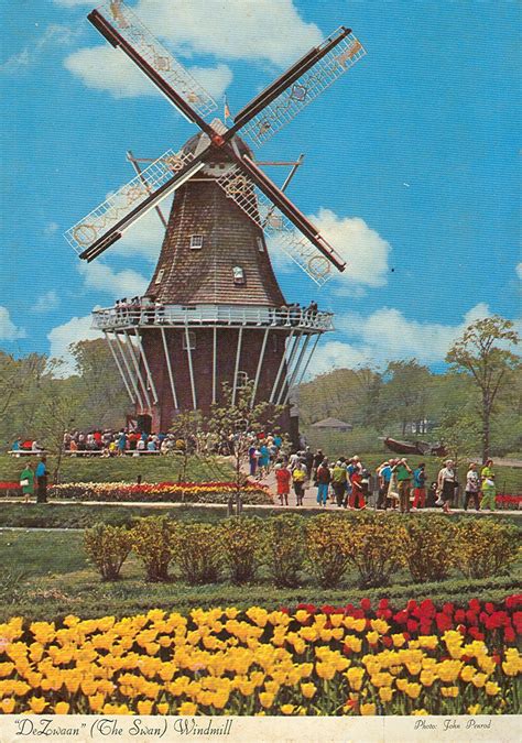 The difference between holland, the netherlands (and. Vintage Travel Postcards: Holland, Michigan