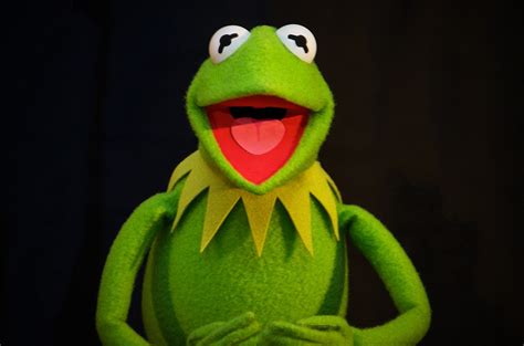 New Kermit The Frog Voice Debuts Billboard