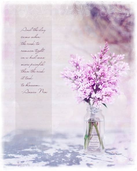 If we are to strive as. Beyond Layers Class | Flower quotes, Blossom flower ...