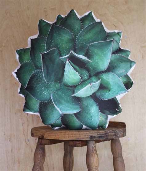 Check spelling or type a new query. 17 Stylish Succulent Gifts for People Who Love the Prickly ...