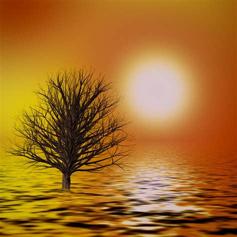 Free Images Sun Lake Sunset Water Reflection Atmosphere Mood