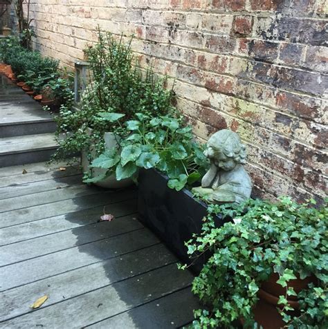 Bring any outdoor install to life with a completely weatherproof sunbrite tv. Pin by Wendy Clark on HOME outdoors | Plants, Sidewalk ...