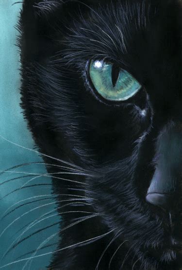 Black Cat Portrait Turquoise Eyes By Art It Art On Deviantart