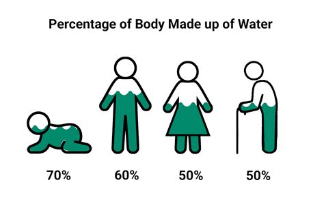 What Is Total Body Water Marsden Weighing