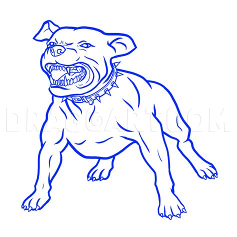 How To Draw A Pitbull Dog Coloring Page Trace Drawing Dragon Tattoo
