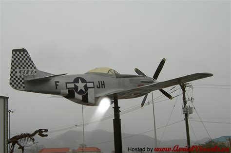 Aerial Visuals Airframe Dossier North American P 51 Mustang Replica