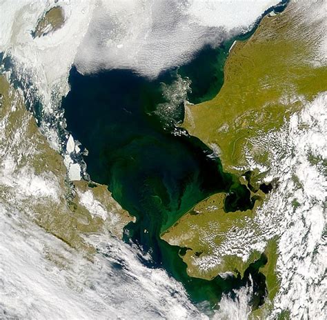 Melting Arctic Blooms With Algae Cnn