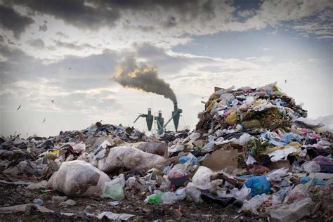 Heres 11 Ways Humans Impact The Environment On Earth