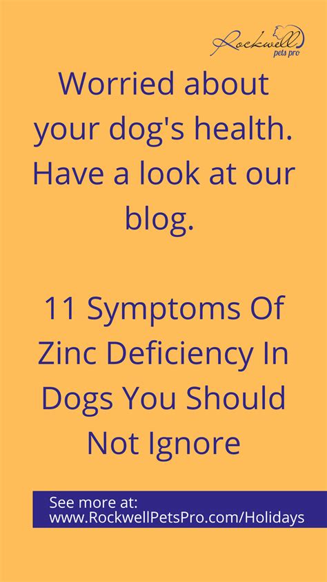 Symptoms Of Zinc Deficiency In Dogs Symptoms Of Disease