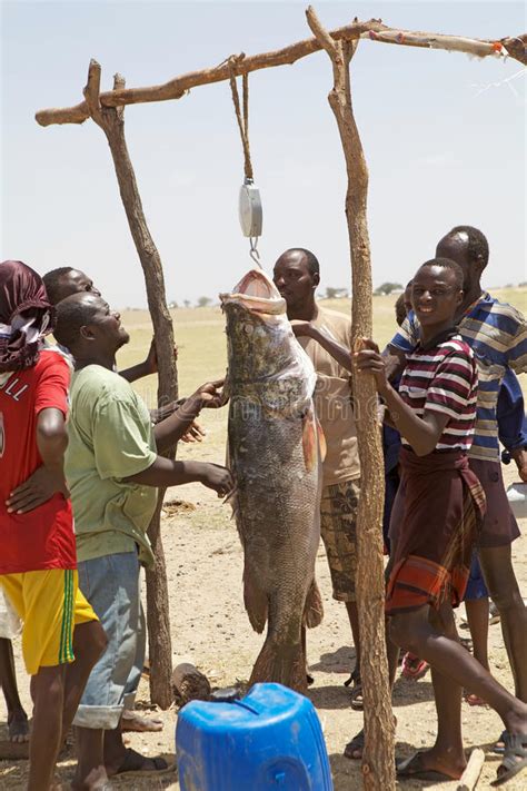 African Fishermen And Fish Editorial Stock Image Image Of Working