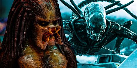 Alien Vs Predator Which Sci Fi Horror Series Is More Successful