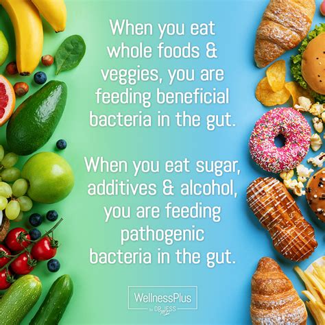 When You Eat Whole Foods And Veggies You Are Feeding Beneficial Bacteria