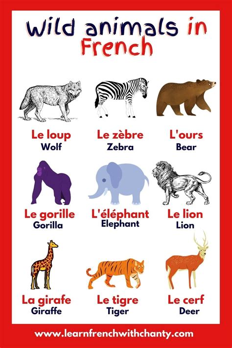 French Vocabulary List About Animals Les Animaux