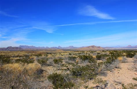 Desert Scenery At Big Bend National Park Texas Image Free Stock